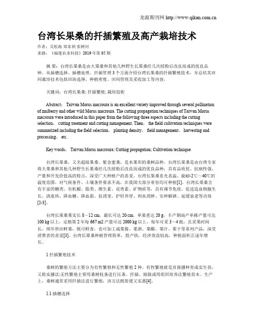 台湾长果桑的扦插繁殖及高产栽培技术