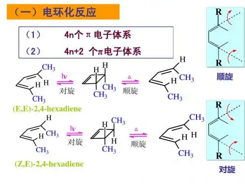 周环反应