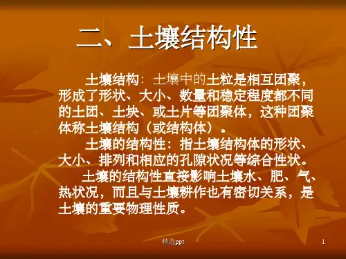 土壤结构性ppt课件