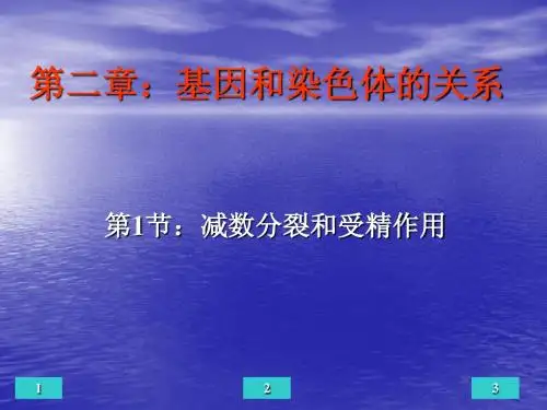 生物人教版必修二 第二章 第1节 减数分裂和受精作用