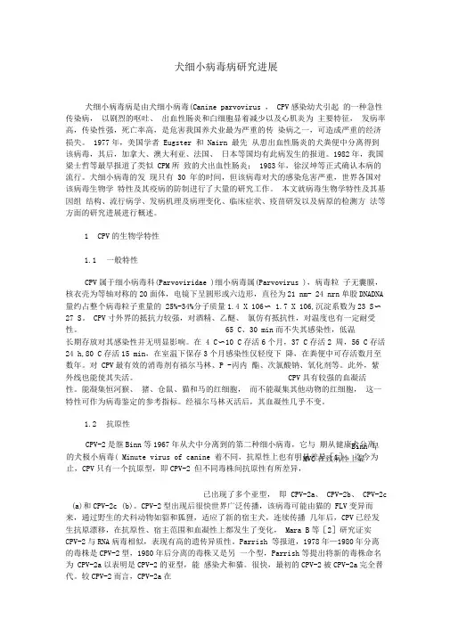 犬细小病毒病研究进展