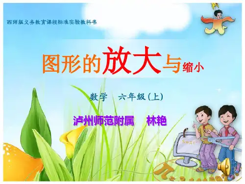 六年级数学图形的放大与缩小优秀课件