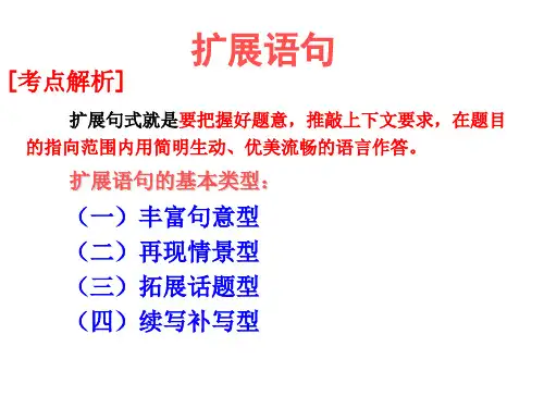 《高考语文专题——扩写、变换句式》课件 (共56张)