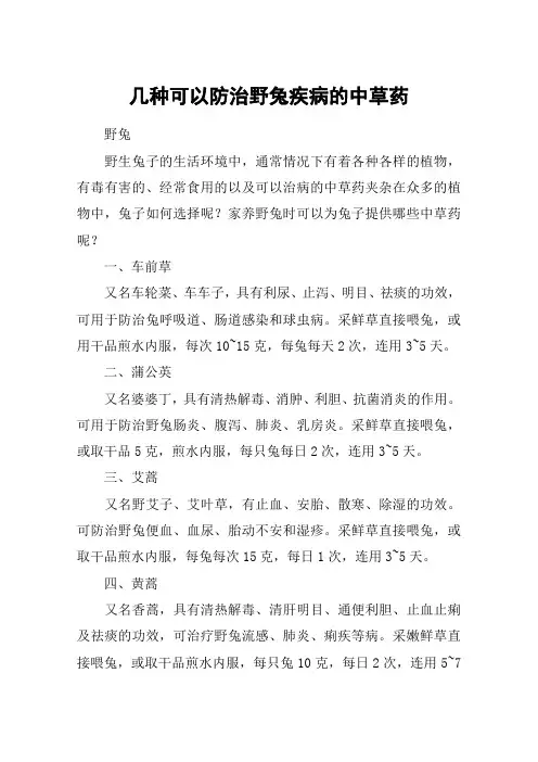 几种可以防治野兔疾病的中草药