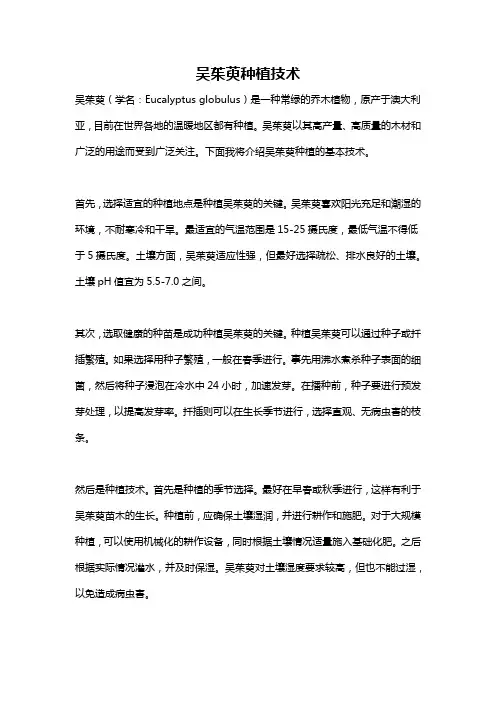 吴茱萸种植技术