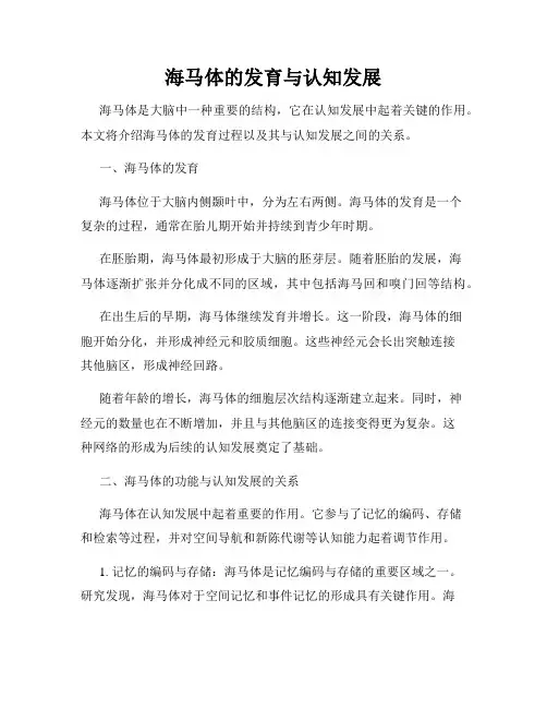 海马体的发育与认知发展