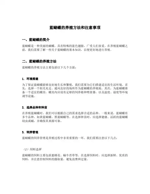 蓝蝴蝶的养殖方法和注意事项