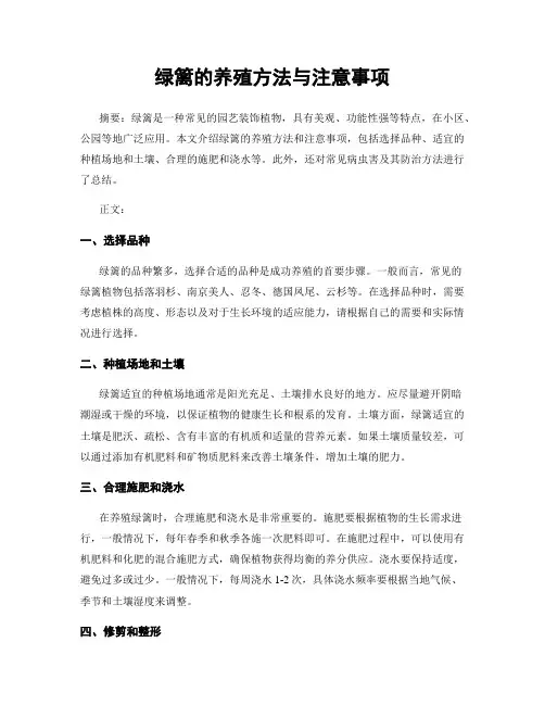 绿篱的养殖方法与注意事项