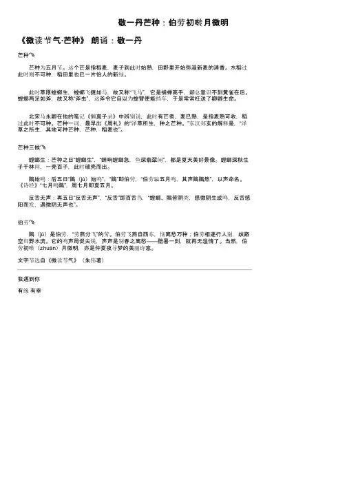 敬一丹芒种：伯劳初啭月微明