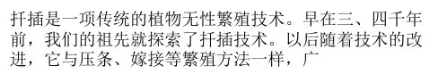 扦插繁殖技术的历史演变