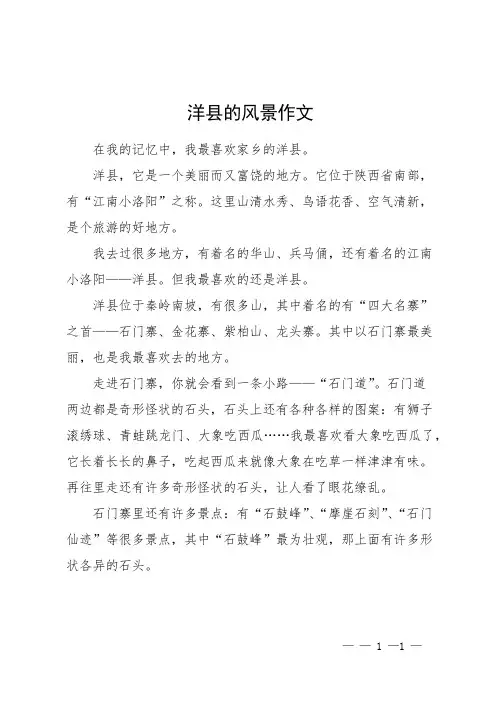 洋县的风景作文