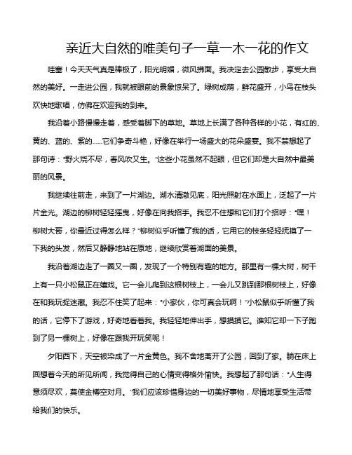 亲近大自然的唯美句子一草一木一花的作文
