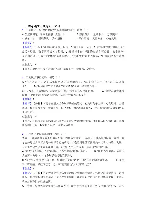 部编人教版中考语文 短语训练及答案(1)