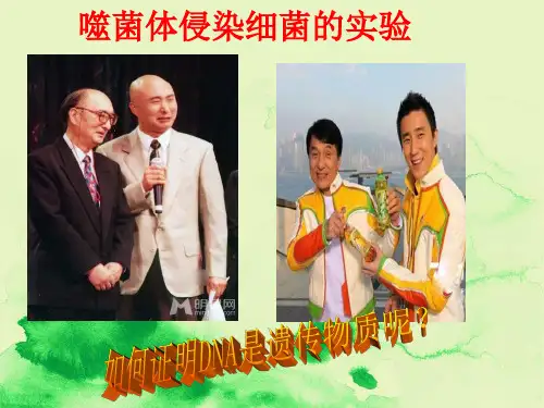 人教版高中生物必修二第三章第一节《噬菌体侵染细菌的实验》课件