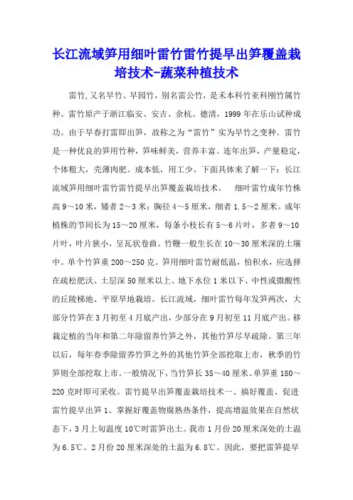 长江流域笋用细叶雷竹 雷竹提早出笋覆盖栽培技术 - 蔬菜种植技术