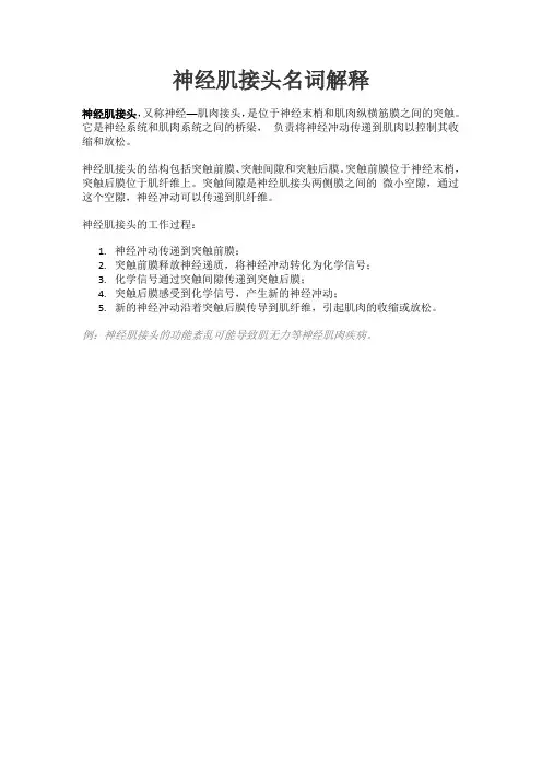 神经肌接头名词解释