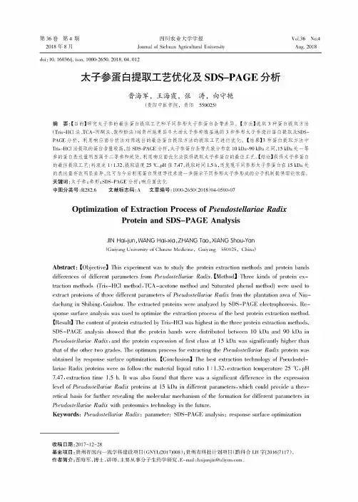 太子参蛋白提取工艺优化及SDS-PAGE分析