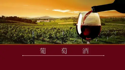 葡萄酒课基础知识