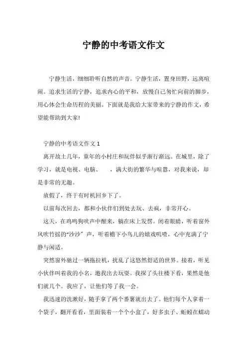 (中考作文)宁静的中考语文作文