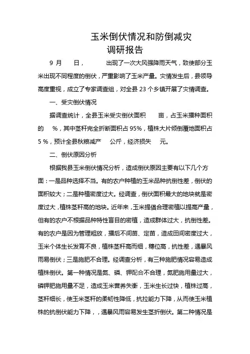 玉米倒伏情况和防倒减灾调研报告