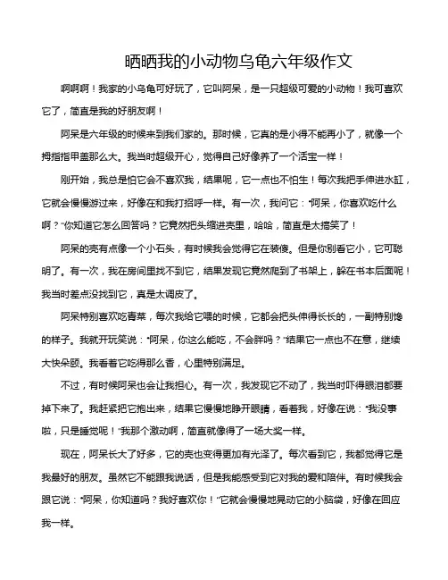 晒晒我的小动物乌龟六年级作文