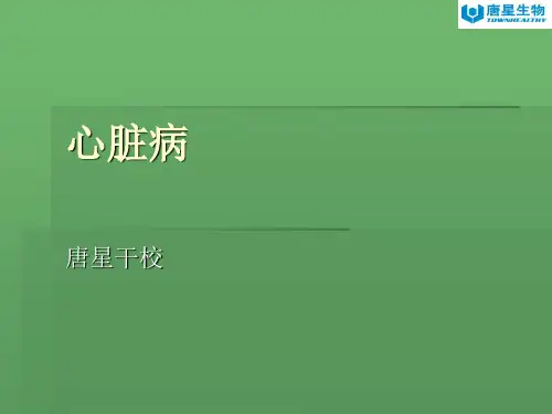 心脏病 PPT课件