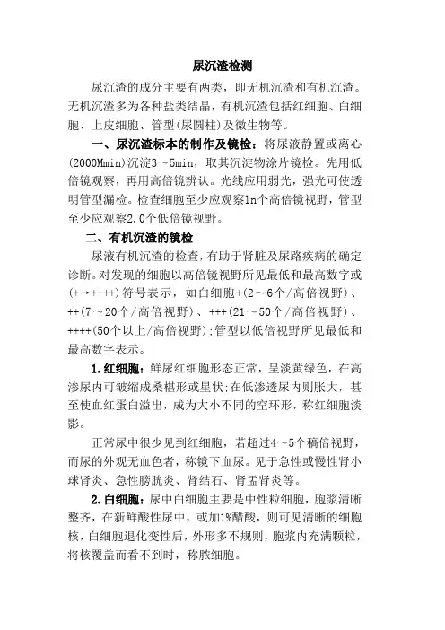 尿沉渣检测
