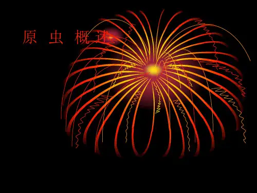 原虫概述-精品医学课件