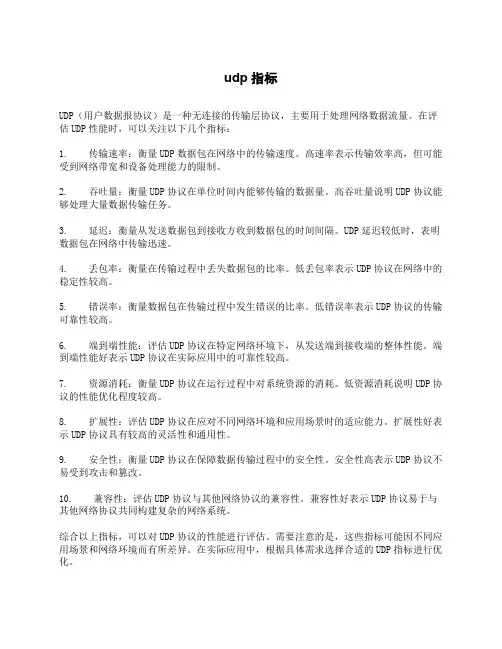 udp指标