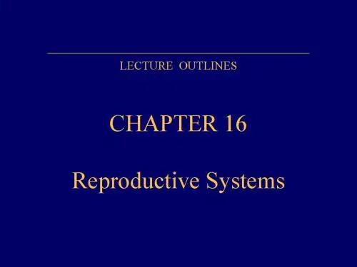 Reproductive System 生殖系统