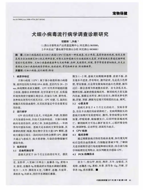犬细小病毒流行病学调查诊断研究