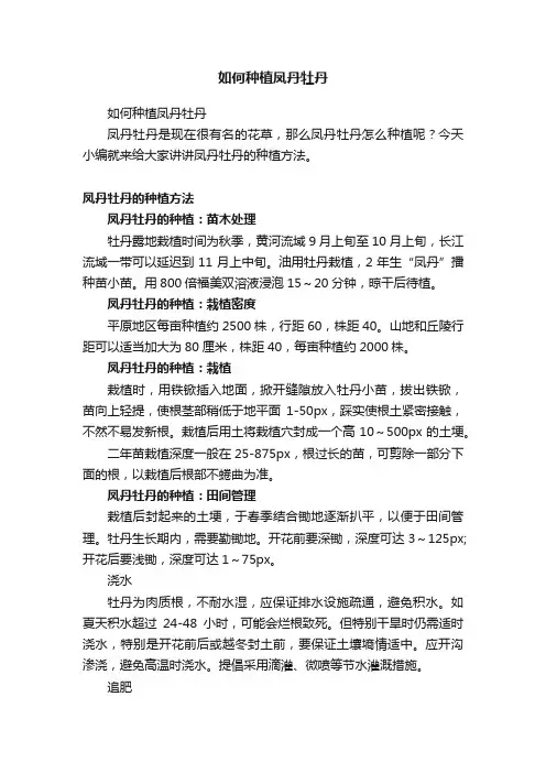 如何种植凤丹牡丹