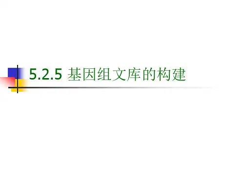 基因文库的构建