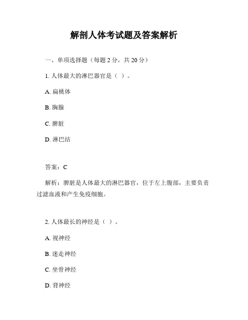 解剖人体考试题及答案解析