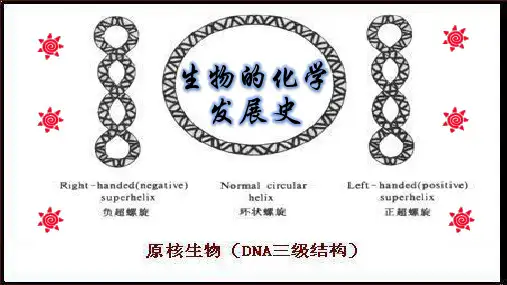 生物的化学发展史