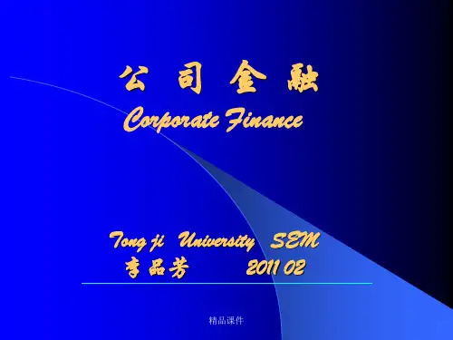公司金融概论1 (2)