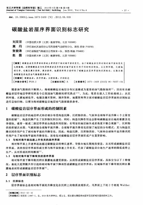 碳酸盐岩层序界面识别标志研究
