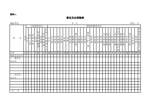 浙江省事业单位会计报表格式