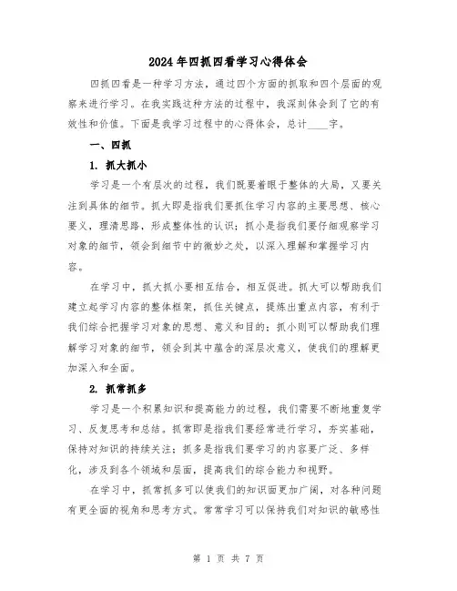 2024年四抓四看学习心得体会(2篇)