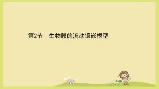 (新人教)生物必修一课件：4