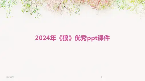 2024年《狼》优秀ppt课件(2024)