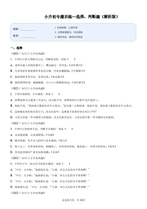 小升初专题训练-- 选择、判断题