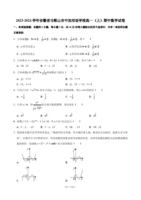 2023-2024学年安徽省马鞍山市中加双语学校高一(上)期中数学试卷【答案版】