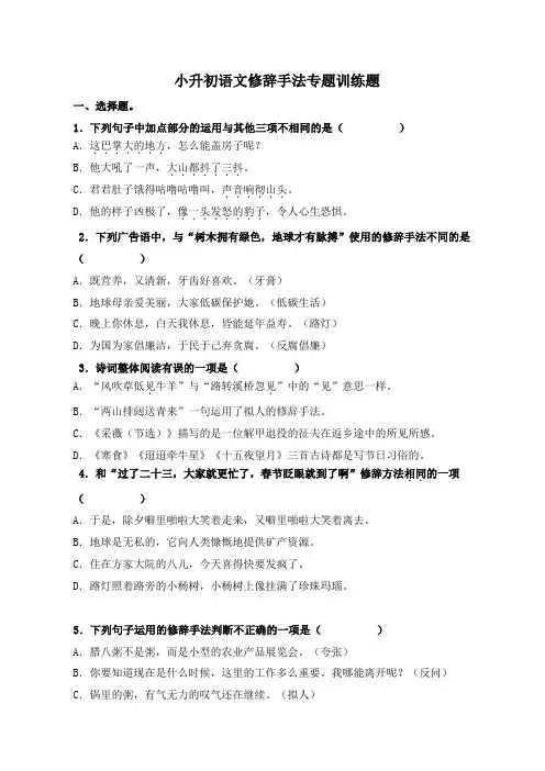 小升初语文修辞手法专题训练题