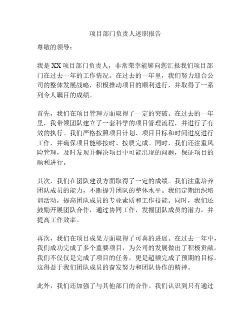 项目部门负责人述职报告