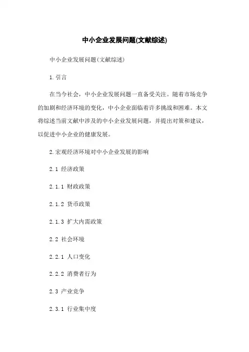 中小企业发展问题(文献综述)