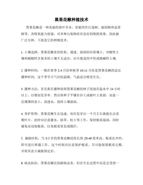 黑果花楸种植技术