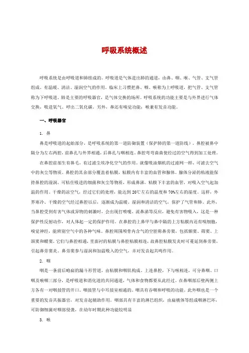 学前儿童卫生与保健：呼吸系统概述