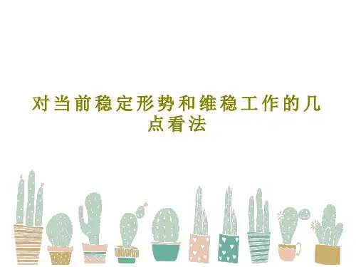 对当前稳定形势和维稳工作的几点看法48页PPT