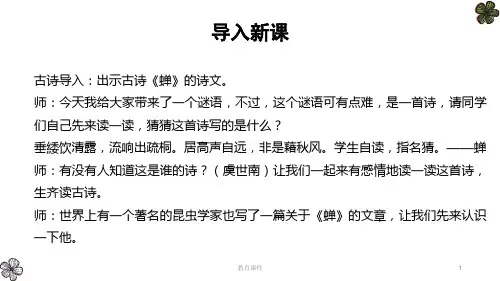19 蝉ppt教育课件